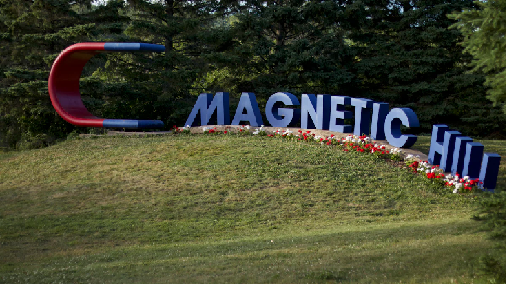 Permanent magnets exhibit unique characteristics that distinguish them from other types of magnets.