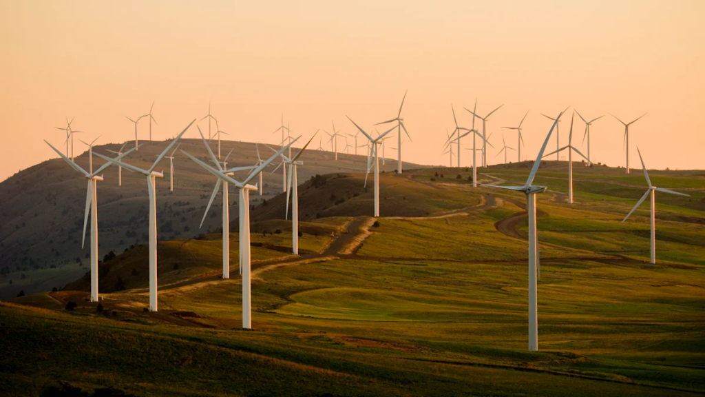 Permanent Magnet Generators (PMGs) have exhibited remarkable efficiency in wind turbine generators.