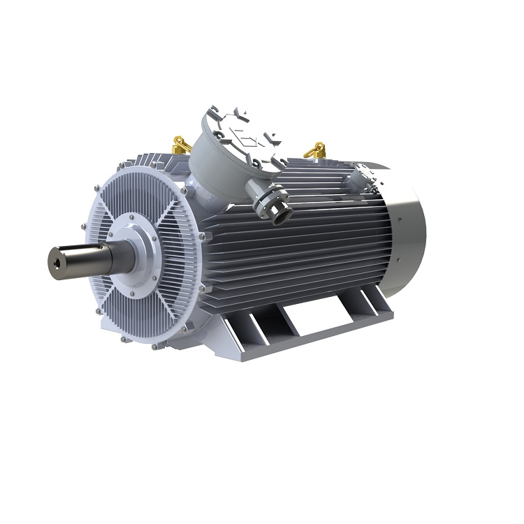 Permanent Magnet Synchronous Motors (PMSMs) are pivotal in modern engineering due to their efficiency and precision.