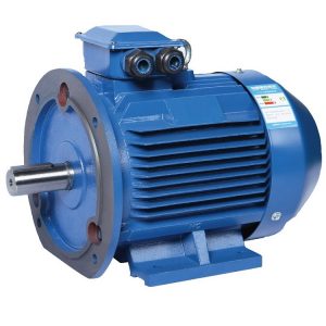 Permanent Magnet Synchronous Motors (PMSMs) are pivotal in modern engineering due to their efficiency and precision.