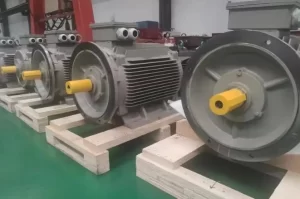 Permanent Magnet Motor