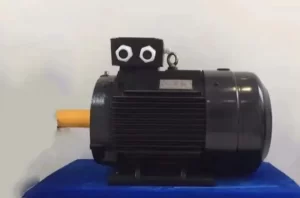 Permanent Magnet AC Synchronous Motors